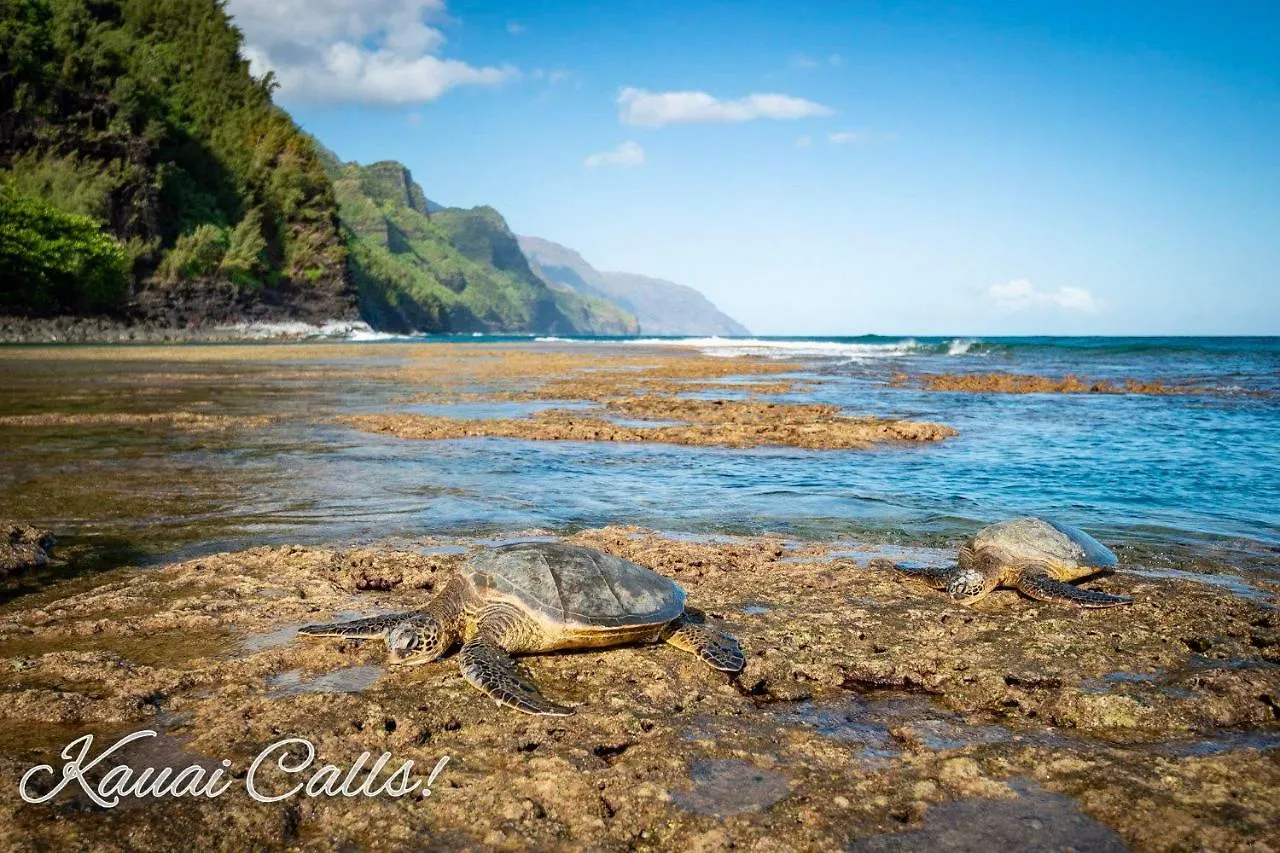 Pili Mai 6L Poipu Ocean, Mountain And Golf Course Views - Central Ac Koloa 0*,  United States